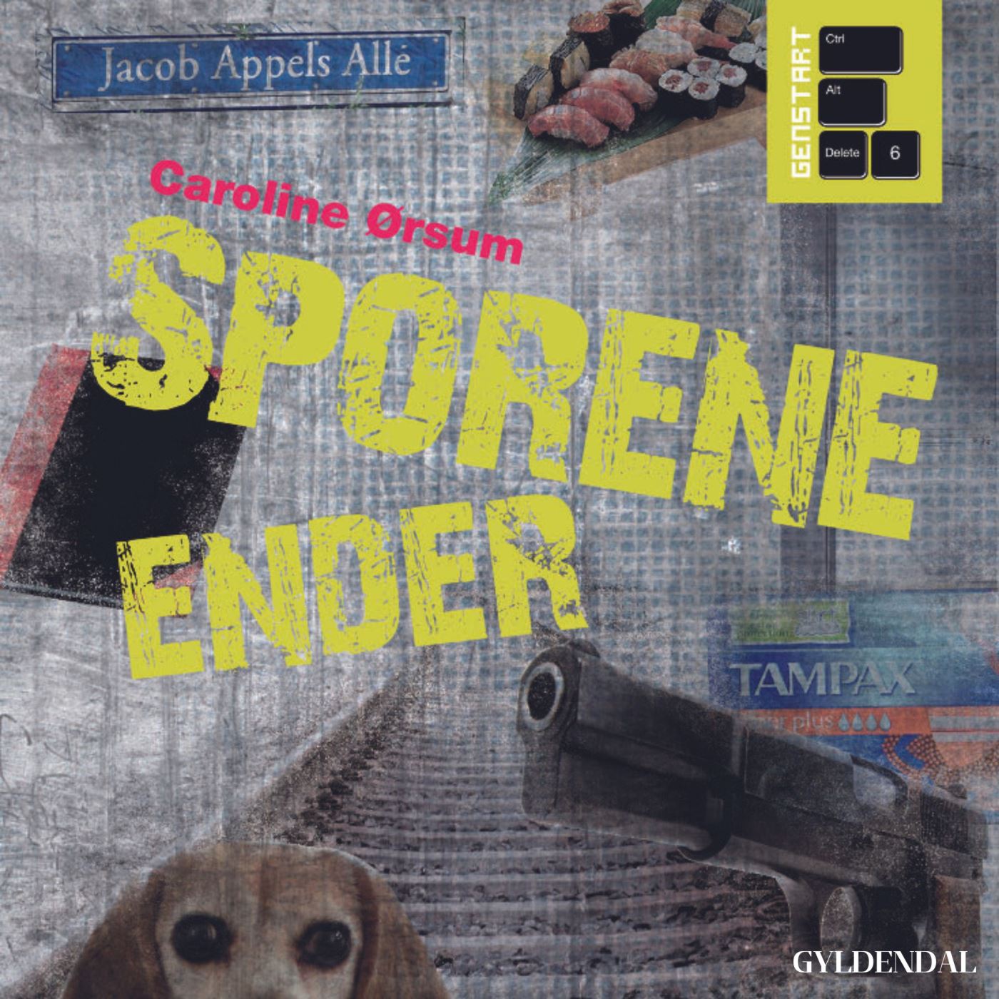 Forside billede